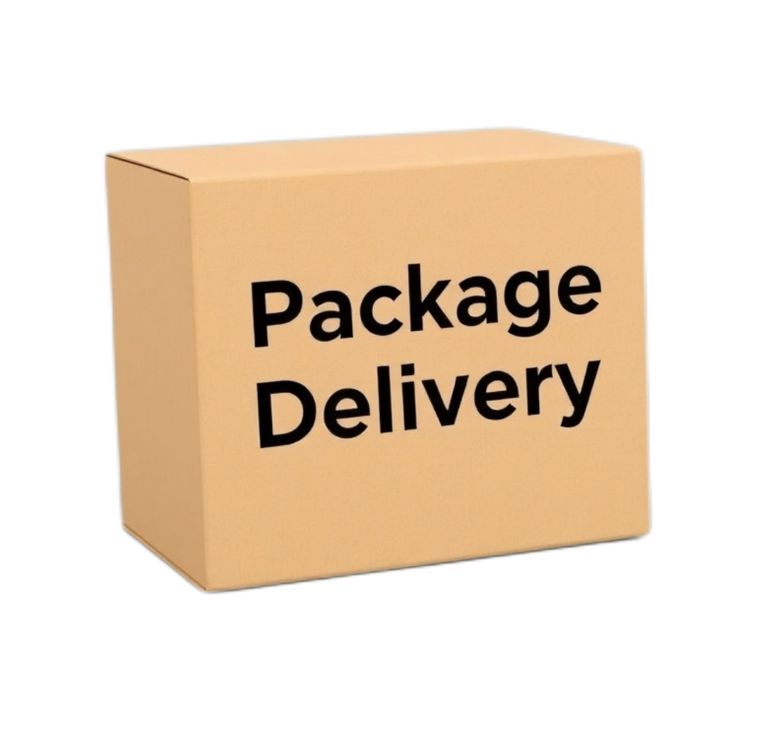 Package Delivery